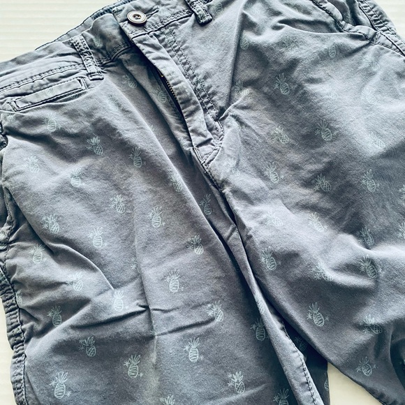 American Eagle Shorts Classic Next Level Flex Cotton Pineapple Print Size 28 - Picture 3 of 5
